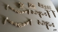 133-471.jpg